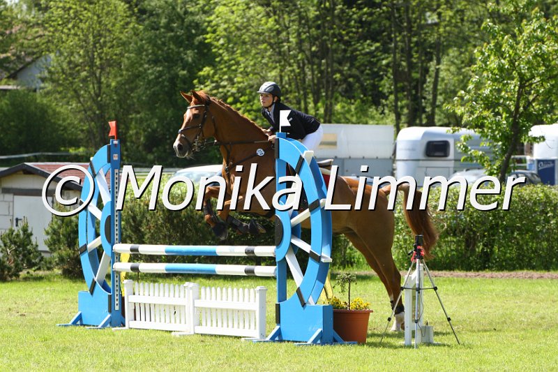 005M4792_Rubber Duck_Stil A.JPG